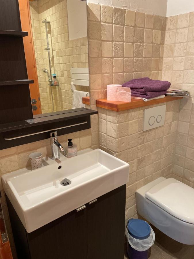 Studio 1 Piece Situe Dans Un Chalet 보포르 외부 사진